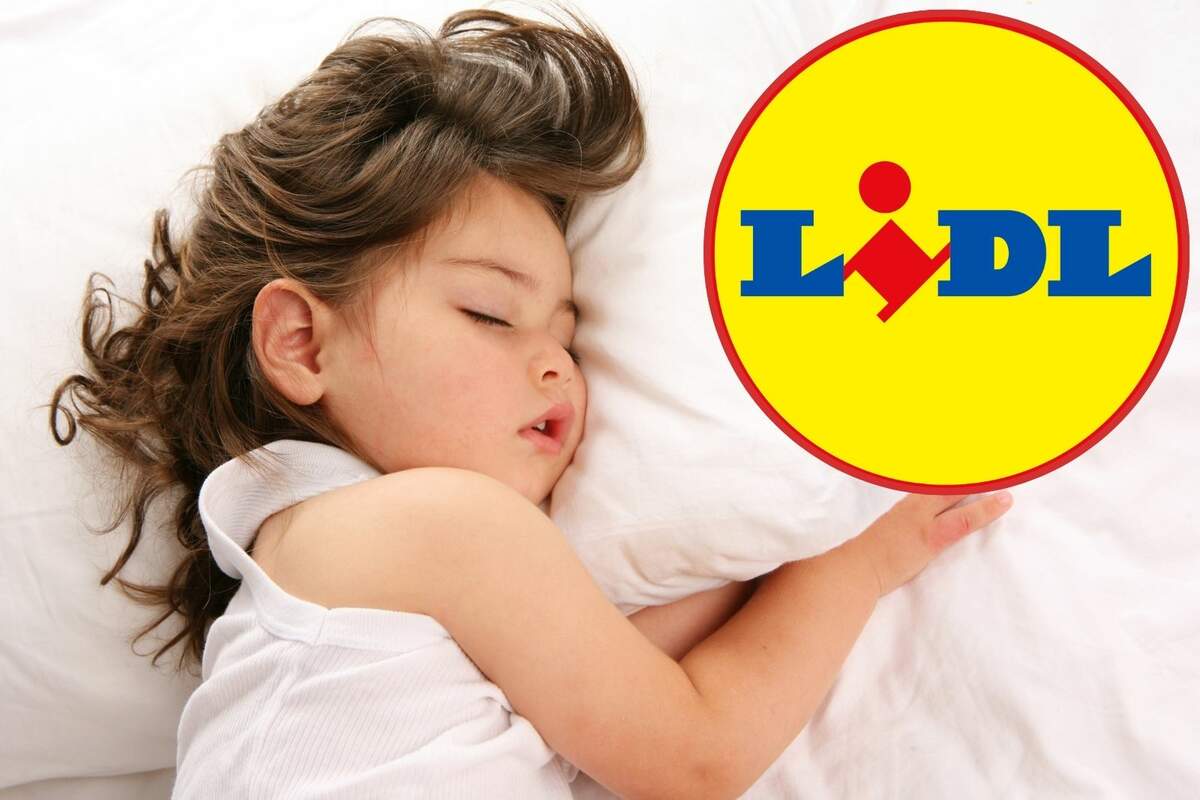 Adiós estufa Llega hoy lunes a Lidl el producto que cambia la