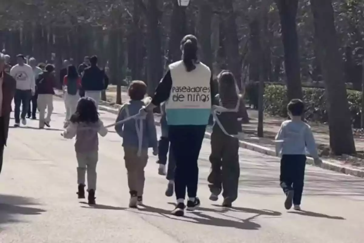 uns nens són passejats amb uns arnesos per una noia que porta una armilla de passejadors de nens uns nens són passejats amb uns arnesos per una noia que porta una armilla de passejadors de nens