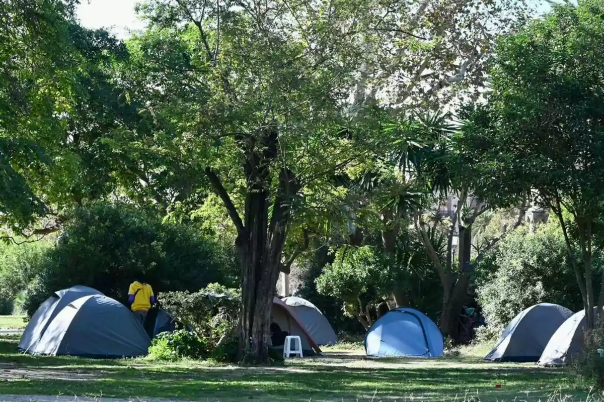 Diverses tendes de campanya instal·lades en una zona verda envoltada d’arbres i arbustos, amb una persona dreta al costat d’una de les tendes i una cadira blanca de plàstic al centre. Diverses tendes de campanya instal·lades en una zona verda envoltada d’arbres i arbustos, amb una persona dreta al costat d’una de les tendes i una cadira blanca de plàstic al centre.