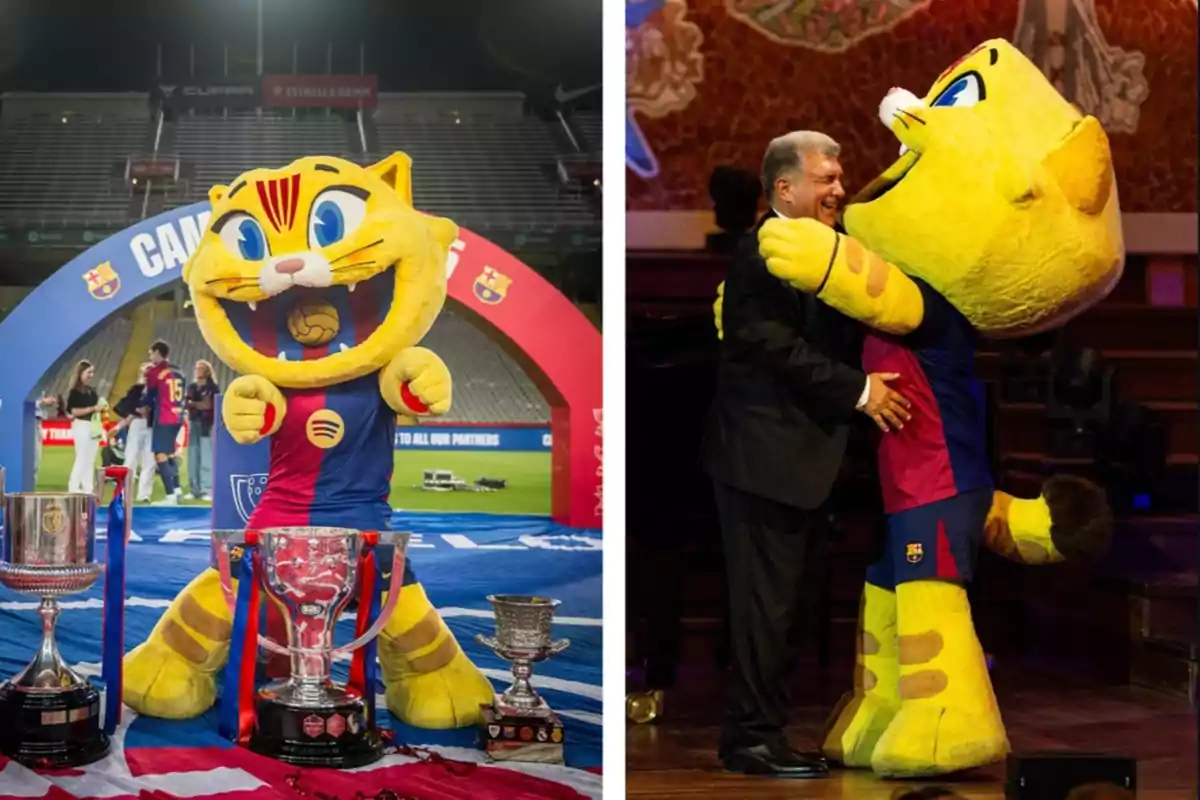 The FC Barcelona mascot, a yellow cat in the team’s uniform, poses next to trophies in a stadium and hugs a man at an indoor event. The FC Barcelona mascot, a yellow cat in the team’s uniform, poses next to trophies in a stadium and hugs a man at an indoor event.