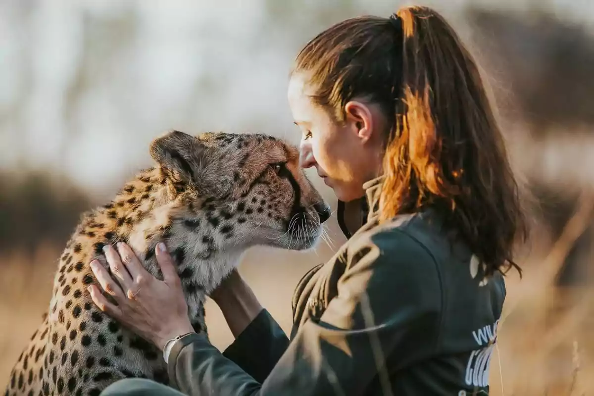 Fabiola Quesada acariciant i tocant front amb front un guepard en un entorn natural a la Dra. Fabiola Jones.