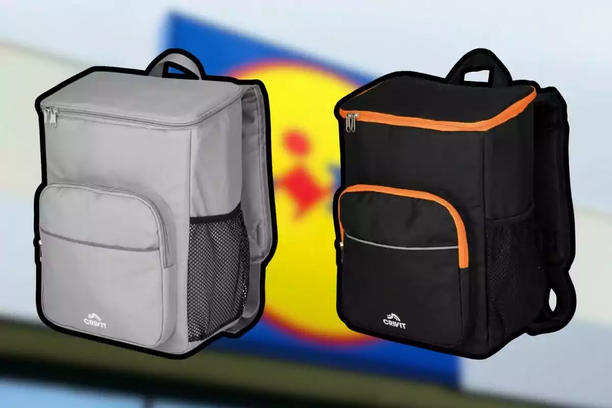 Two thermal backpacks from the Crivit brand, one gray and one black with orange details, on a blurred background with the Lidl logo. Two thermal backpacks from the Crivit brand, one gray and one black with orange details, on a blurred background with the Lidl logo.