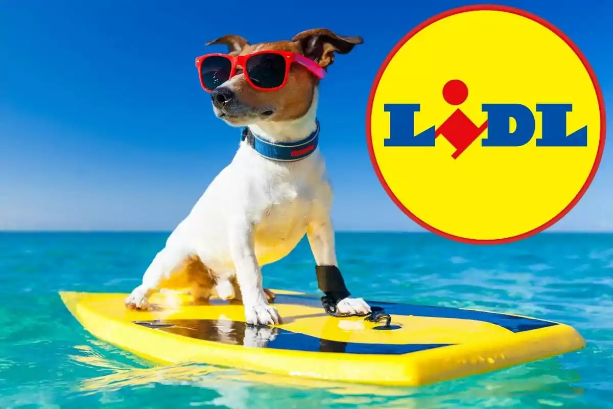 Perro con gafas de sol rojas sobre una tabla de surf amarilla en el mar con el logo de Lidl en la esquina superior derecha