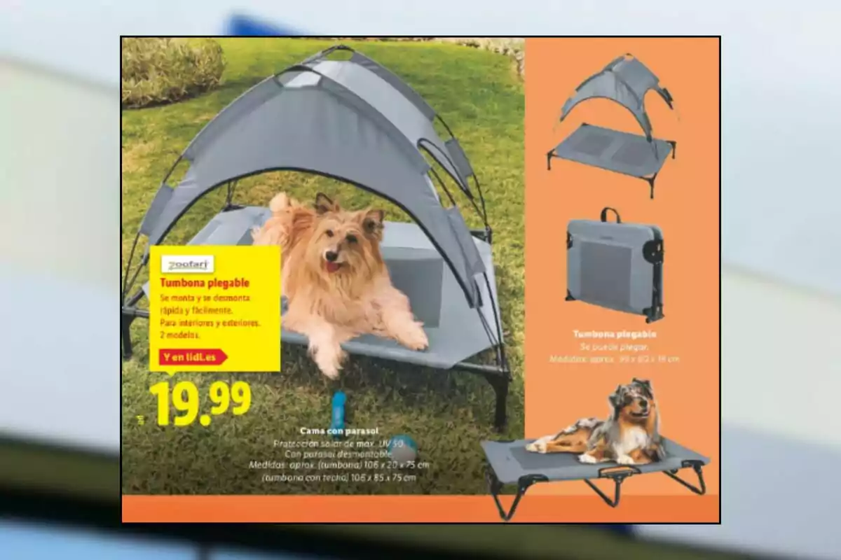 Perro recostado en una tumbona gris con techo desmontable en un jardín, junto a información de precio y características del producto para mascotas Perro recostado en una tumbona gris con techo desmontable en un jardín, junto a información de precio y características del producto para mascotas