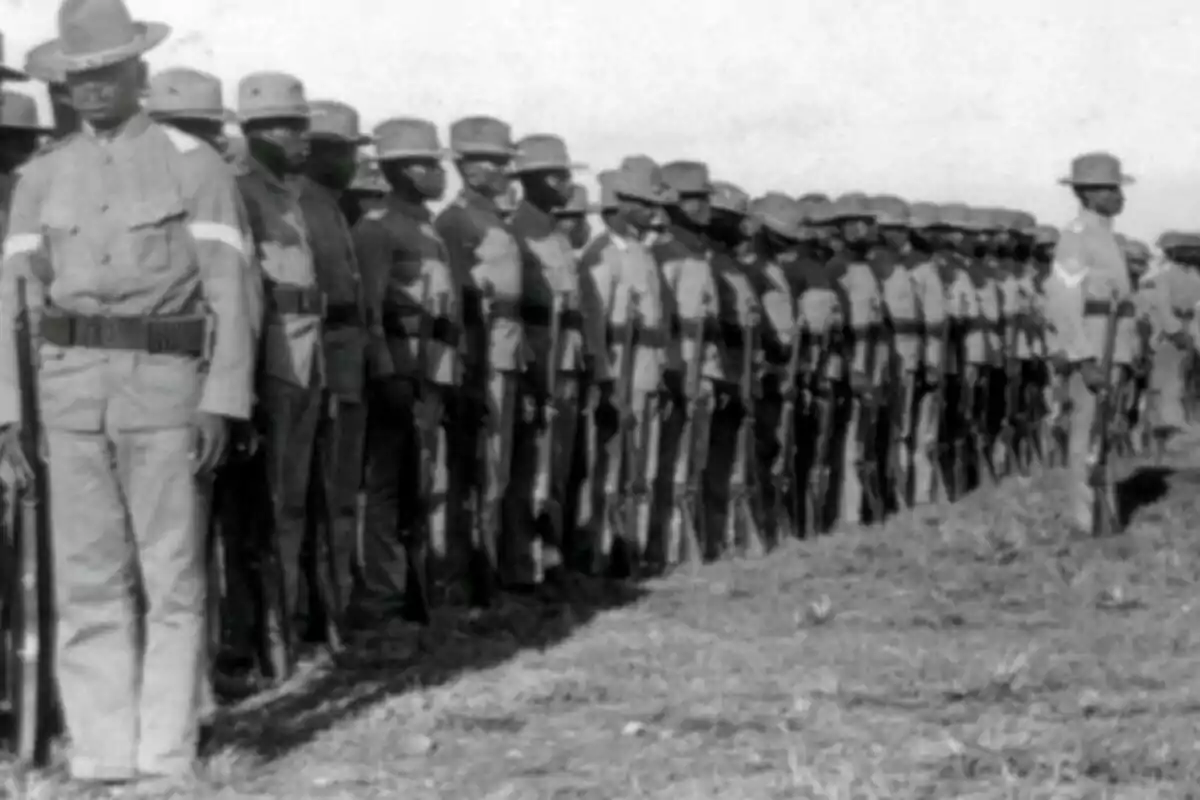 Soldats afrodescendents formats en fila amb uniformes i barrets sostenint fusells en un camp Soldats afrodescendents formats en fila amb uniformes i barrets sostenint fusells en un camp