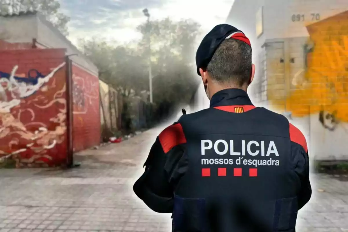 Agent dels Mossos d'Esquadra d'esquena en un carrer amb parets plenes de grafits i arbres al fons