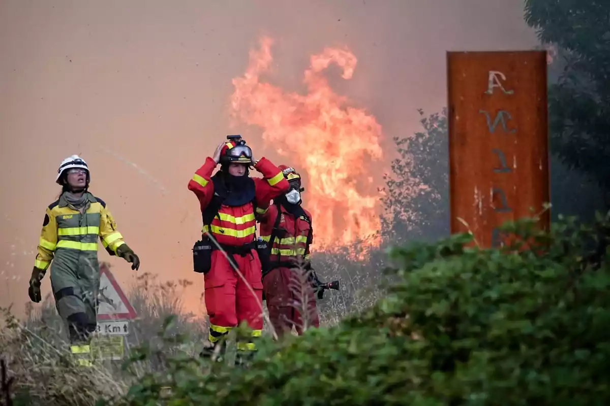 Bomberos con trajes de protección trabajan en la extinción de un incendio forestal con grandes llamas al fondo y vegetación alrededor Bomberos con trajes de protección trabajan en la extinción de un incendio forestal con grandes llamas al fondo y vegetación alrededor