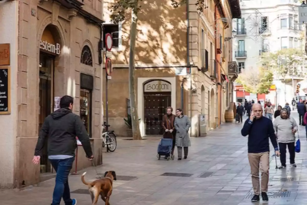 Persones caminant per un carrer de vianants en una ciutat amb edificis antics i arbres Persones caminant per un carrer de vianants en una ciutat amb edificis antics i arbres