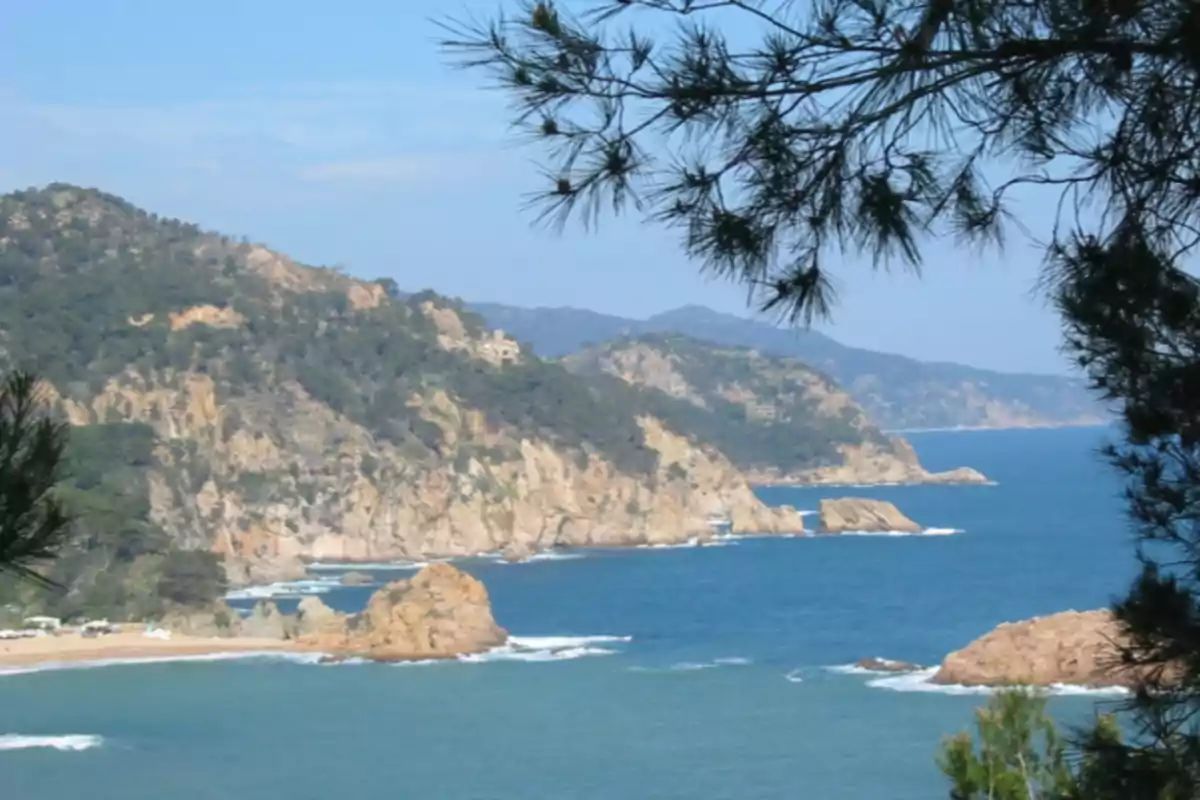 Vista d’una costa rocosa amb penya-segats coberts de vegetació i el mar blau sota un cel serè, emmarcada per branques de pi en primer terme Vista d’una costa rocosa amb penya-segats coberts de vegetació i el mar blau sota un cel serè, emmarcada per branques de pi en primer terme