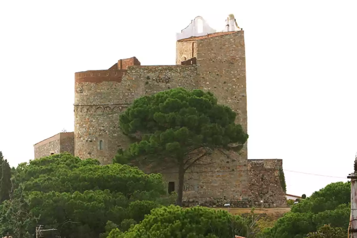 Castillo de piedra rodeado de árboles verdes bajo un cielo claro Castillo de piedra rodeado de árboles verdes bajo un cielo claro