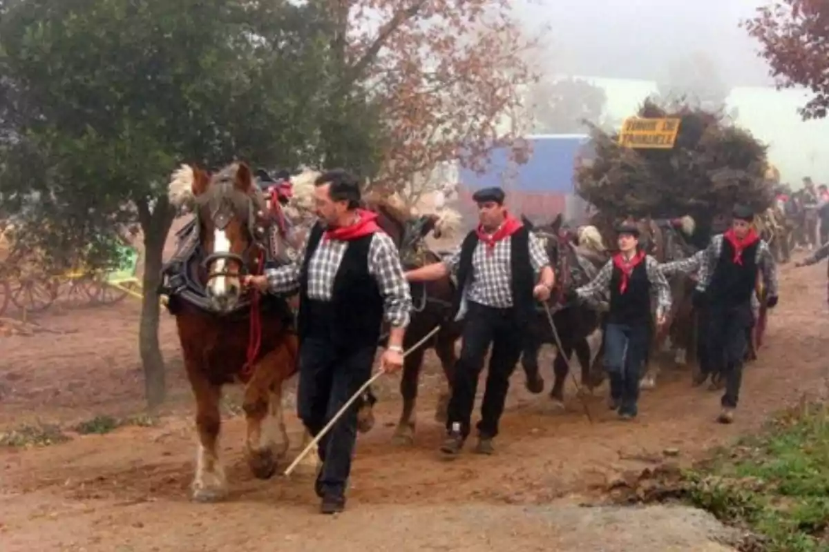 Personas vestidas con ropa tradicional guían caballos que arrastran un carro cargado de ramas en un ambiente rural y festivo Personas vestidas con ropa tradicional guían caballos que arrastran un carro cargado de ramas en un ambiente rural y festivo