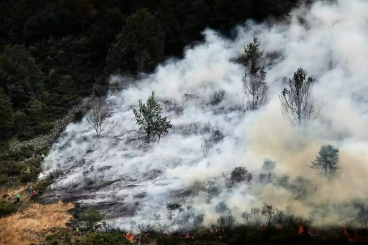 Incendio forestal en una ladera con humo denso y árboles parcialmente quemados mientras varias personas intentan controlar el fuego Incendio forestal en una ladera con humo denso y árboles parcialmente quemados mientras varias personas intentan controlar el fuego