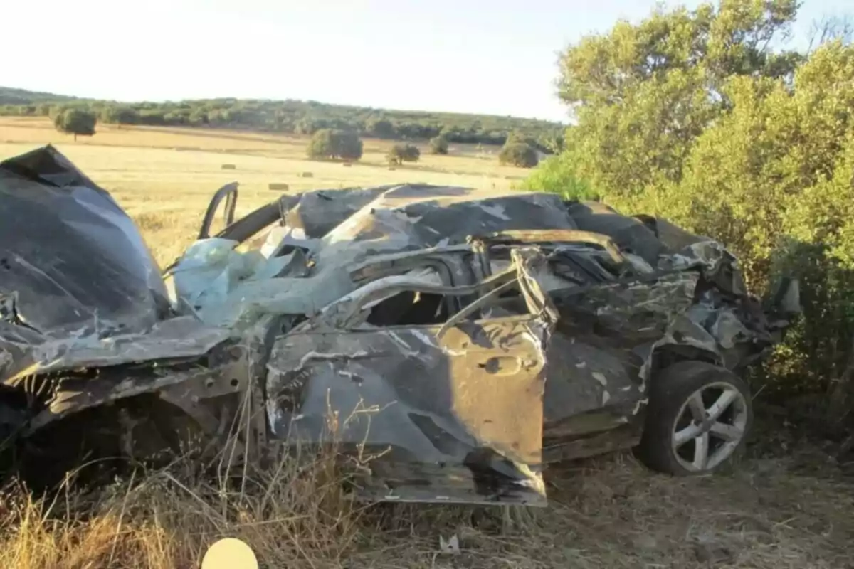 Auto completamente destrozado en un campo seco junto a unos arbustos y árboles al fondo