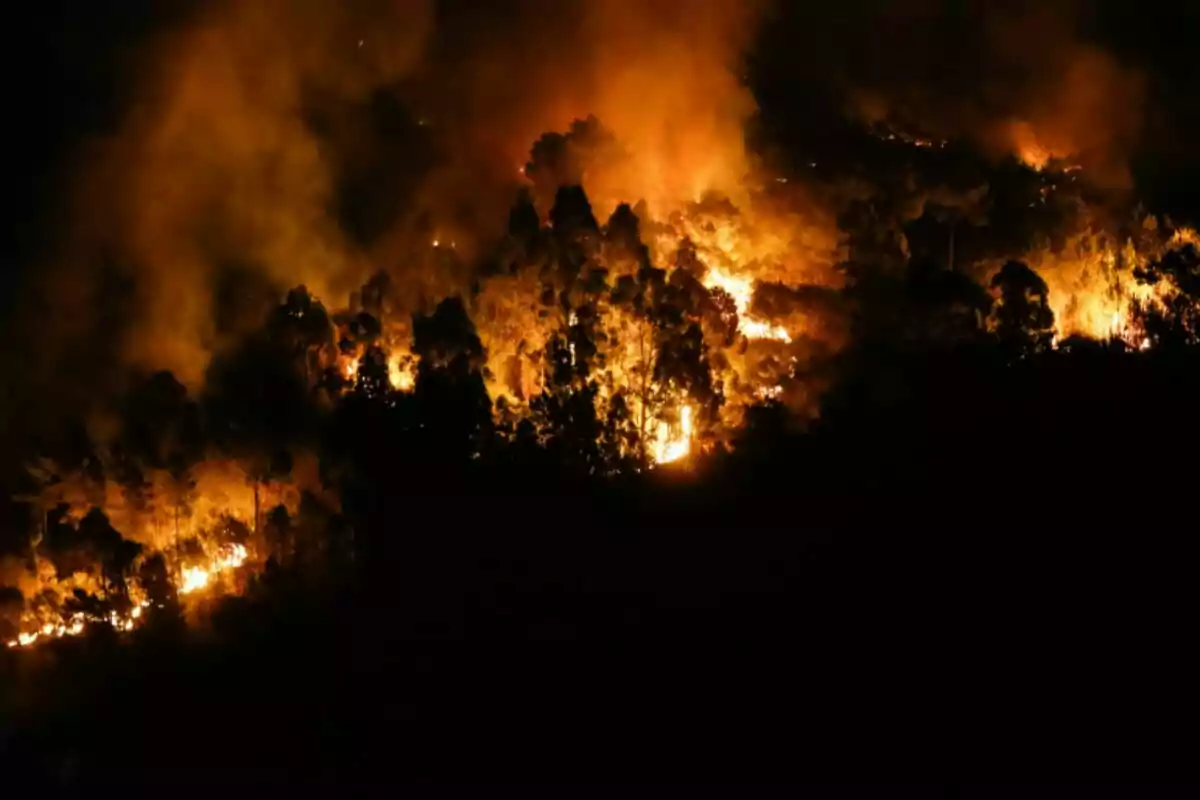 Incendi forestal de gran magnitud arrasant una zona boscosa durant la nit amb flames i fum intens Incendi forestal de gran magnitud arrasant una zona boscosa durant la nit amb flames i fum intens