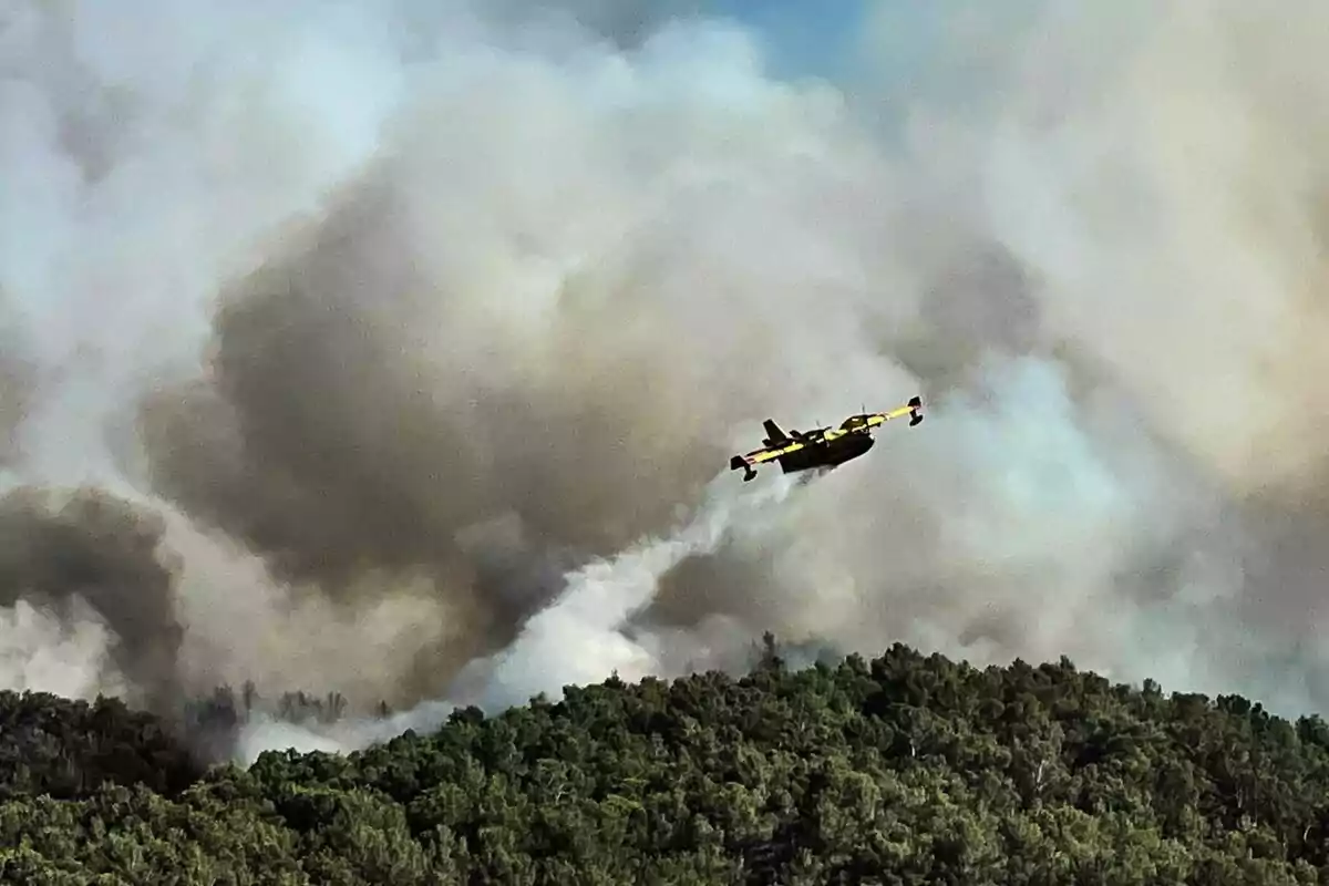 Avión cisterna arrojando agua sobre un incendio forestal con una gran nube de humo en el fondo y árboles en primer plano Avión cisterna arrojando agua sobre un incendio forestal con una gran nube de humo en el fondo y árboles en primer plano