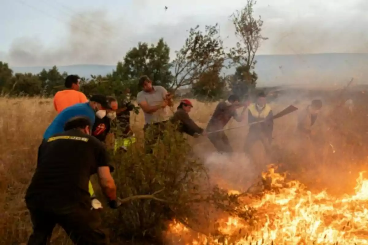 Varias personas luchan contra un incendio forestal usando ramas y herramientas improvisadas en un campo seco mientras el fuego avanza rápidamente.