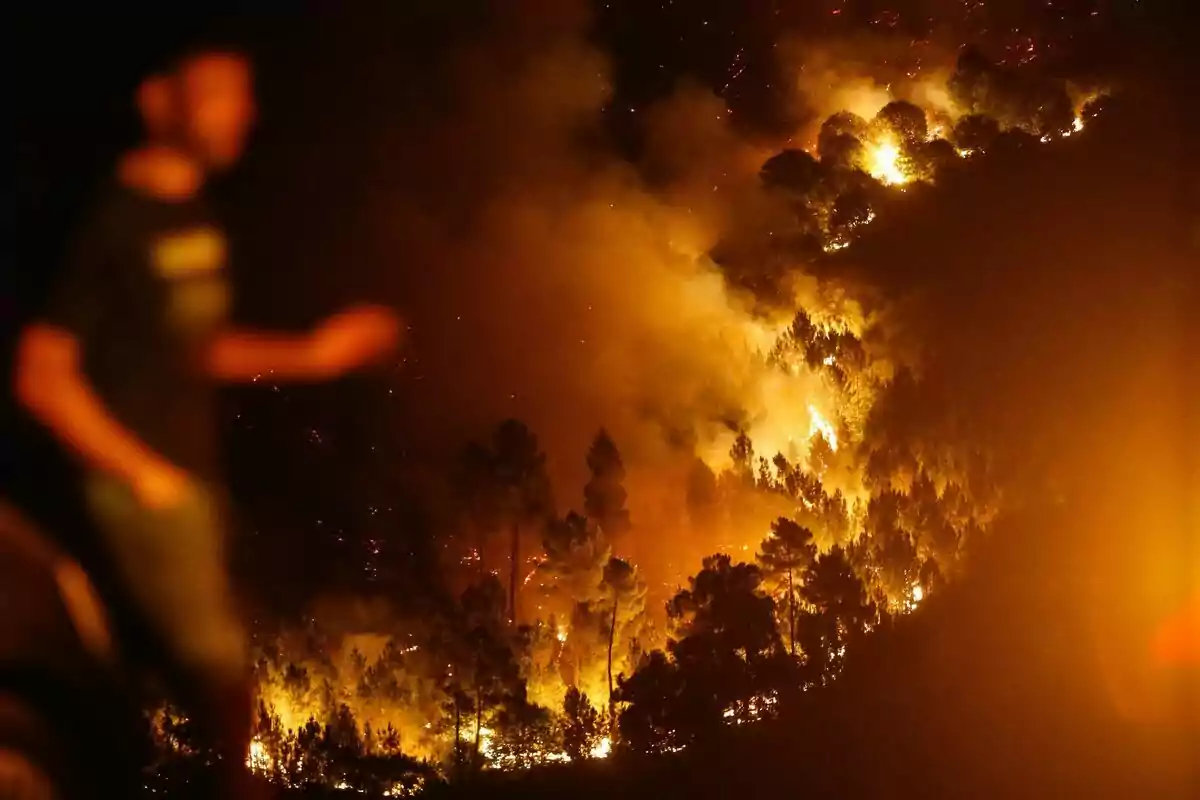 Gran incendi forestal en una zona boscosa durant la nit amb una persona desenfocada en primer pla Gran incendi forestal en una zona boscosa durant la nit amb una persona desenfocada en primer pla