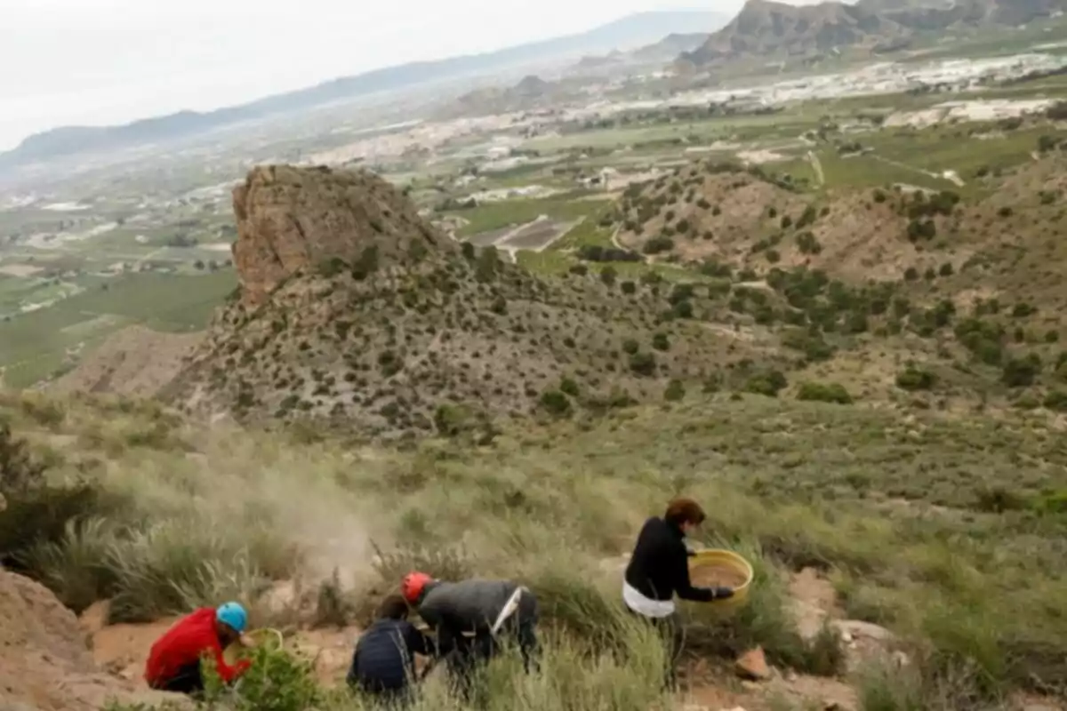 Personas trabajando en una excavación arqueológica en una ladera con vegetación y un paisaje montañoso al fondo Personas trabajando en una excavación arqueológica en una ladera con vegetación y un paisaje montañoso al fondo
