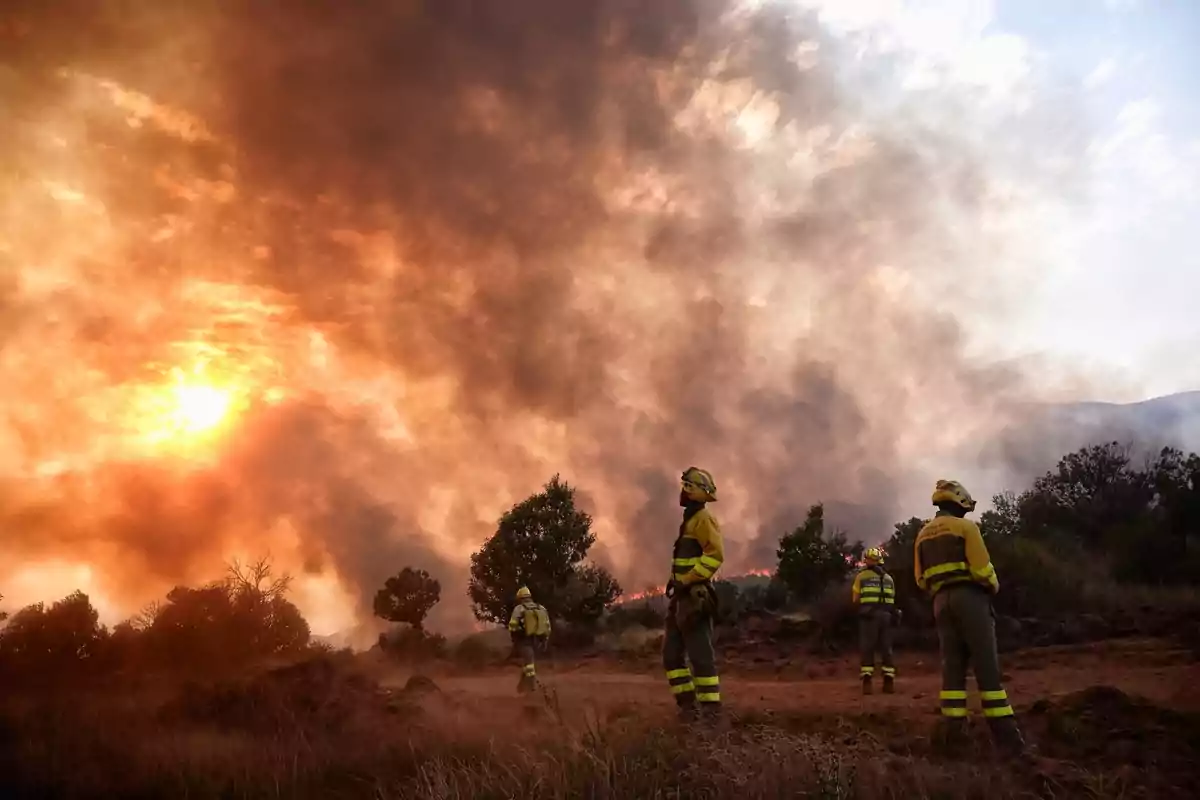 Bombers amb vestits grocs observen un incendi forestal mentre el cel s’omple de fum i el sol es veu parcialment cobert per les flames i la boira.