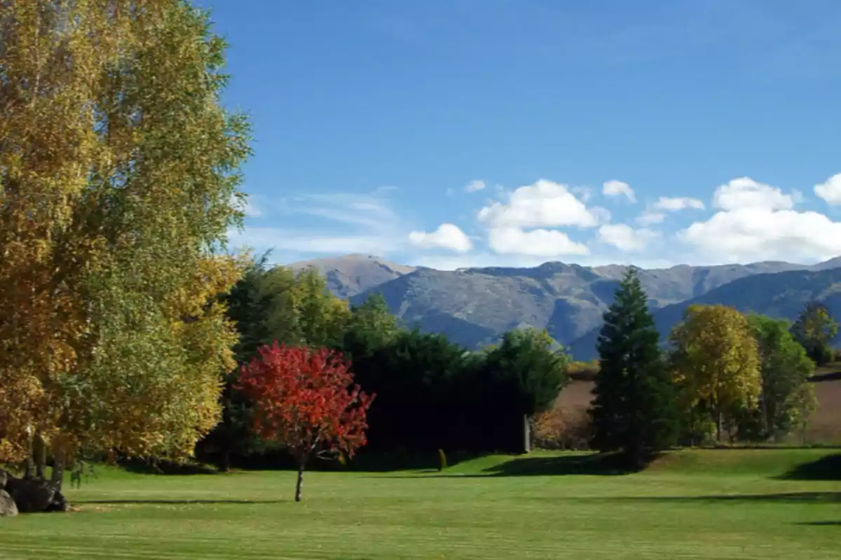 Paisaje de campo con árboles de diferentes colores y montañas al fondo bajo un cielo azul con algunas nubes blancas Paisaje de campo con árboles de diferentes colores y montañas al fondo bajo un cielo azul con algunas nubes blancas