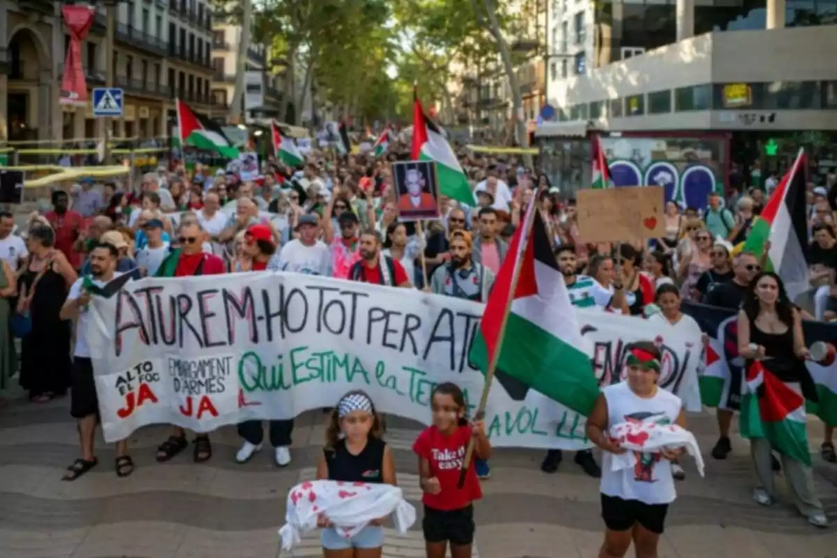 Manifestació multitudinària en un carrer amb persones portant banderes palestines i pancartes en suport a Palestina Manifestació multitudinària en un carrer amb persones portant banderes palestines i pancartes en suport a Palestina