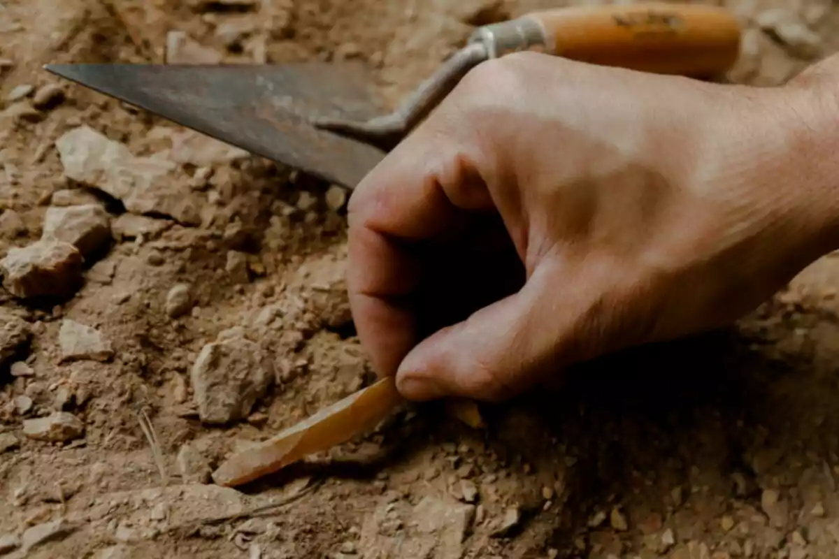 Mano recogiendo una herramienta de piedra en una excavación arqueológica sobre tierra y rocas Mano recogiendo una herramienta de piedra en una excavación arqueológica sobre tierra y rocas