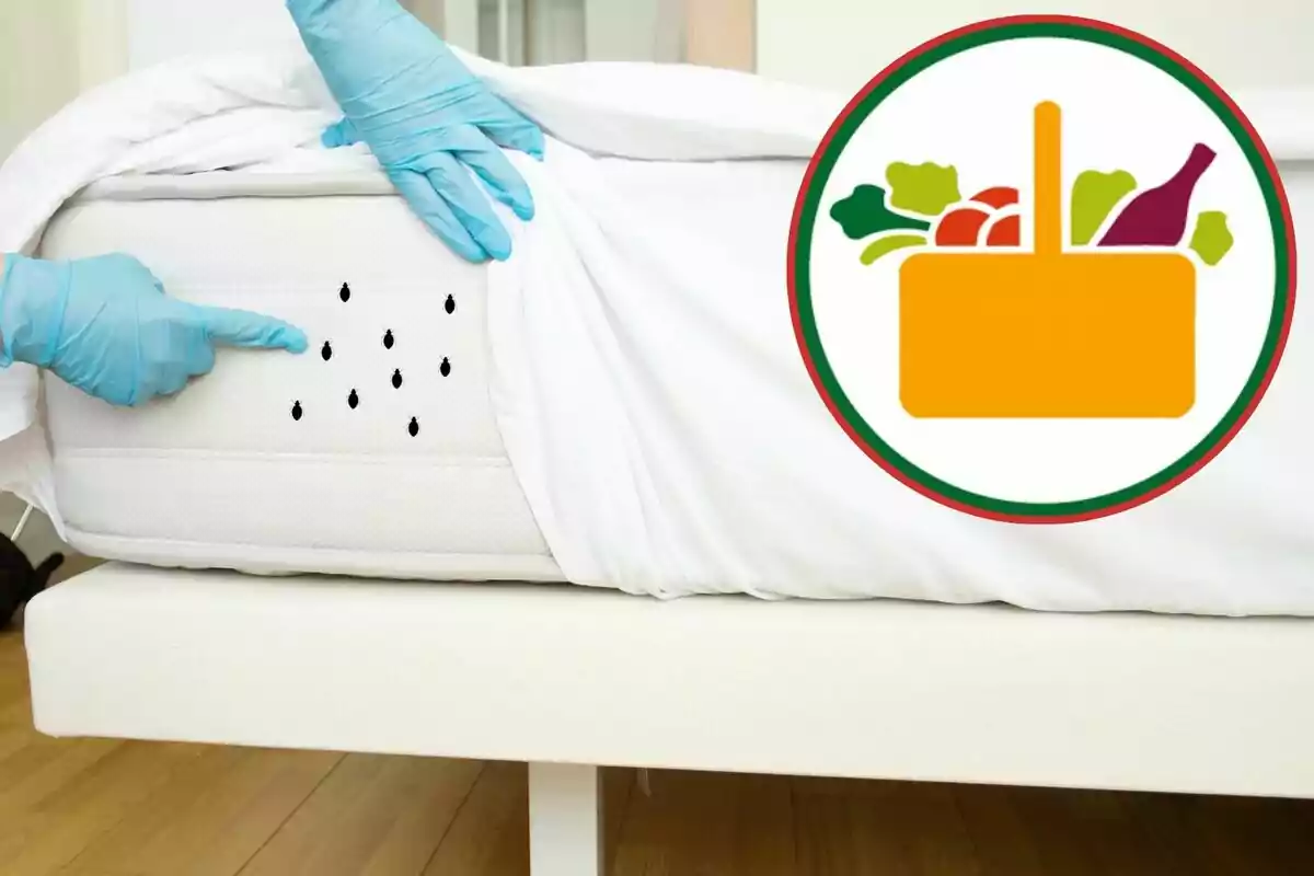 Manos con guantes azules revisan un colchón con manchas negras mientras aparece un icono de canasta de supermercado con alimentos Manos con guantes azules revisan un colchón con manchas negras mientras aparece un icono de canasta de supermercado con alimentos