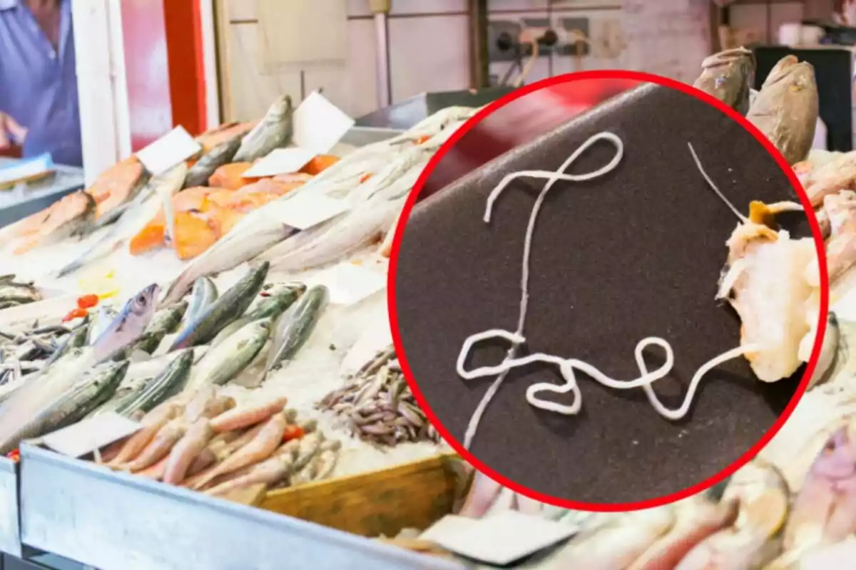 Peixateria amb diversos tipus de peix fresc sobre gel i un primer pla que mostra un paràsit en un tros de peix Peixateria amb diversos tipus de peix fresc sobre gel i un primer pla que mostra un paràsit en un tros de peix