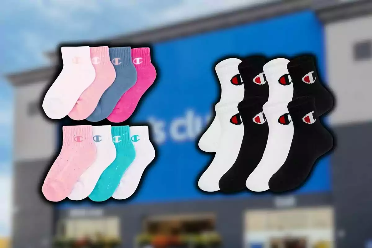 Several pairs of socks in different colors and designs with the Champion logo on a blurred background of a Sam's Club store. Several pairs of socks in different colors and designs with the Champion logo on a blurred background of a Sam's Club store.