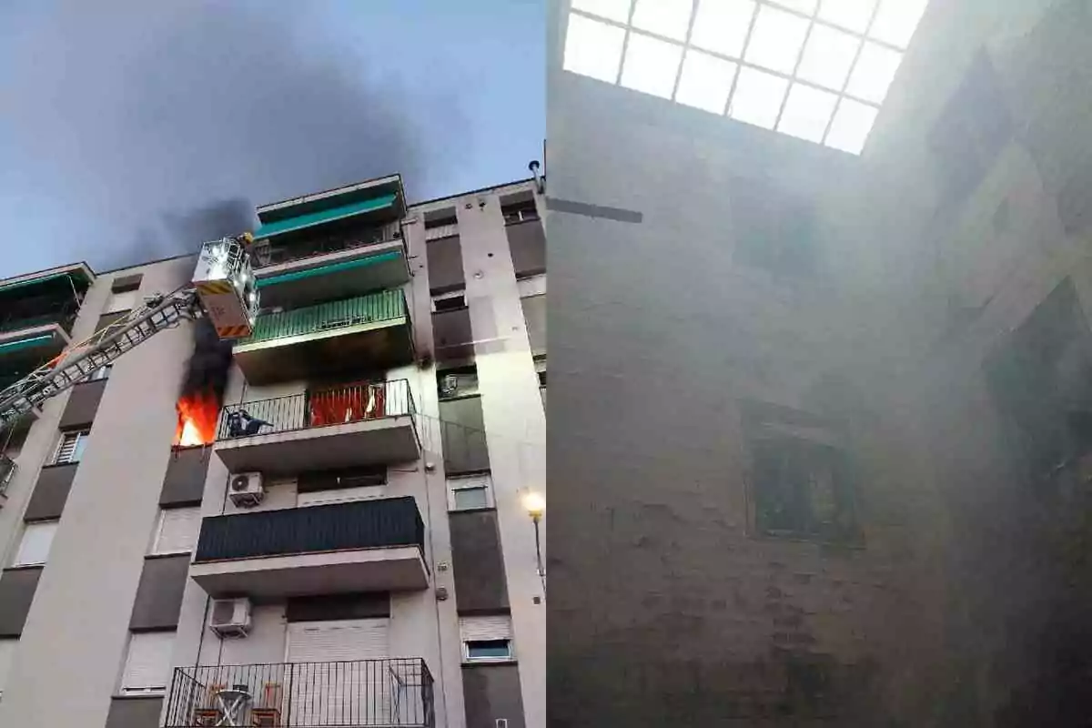 Un edifici d’apartaments en flames amb fum negre sortint d’una finestra i un camió de bombers utilitzant una escala per combatre l’incendi, al costat d’una imatge de l’interior de l’edifici cobert de fum. Un edifici d’apartaments en flames amb fum negre sortint d’una finestra i un camió de bombers utilitzant una escala per combatre l’incendi, al costat d’una imatge de l’interior de l’edifici cobert de fum.