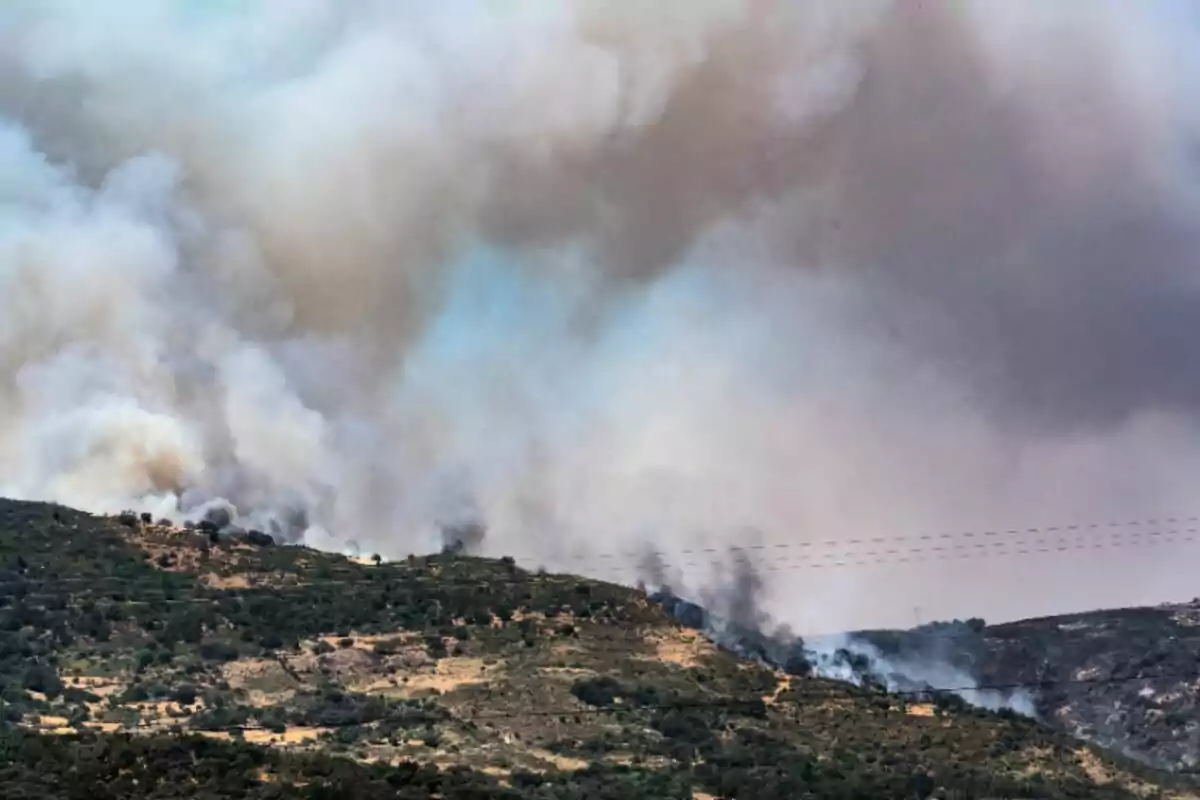 Colina cubierta de vegetación con un incendio forestal que genera una gran cantidad de humo en el cielo Colina cubierta de vegetación con un incendio forestal que genera una gran cantidad de humo en el cielo