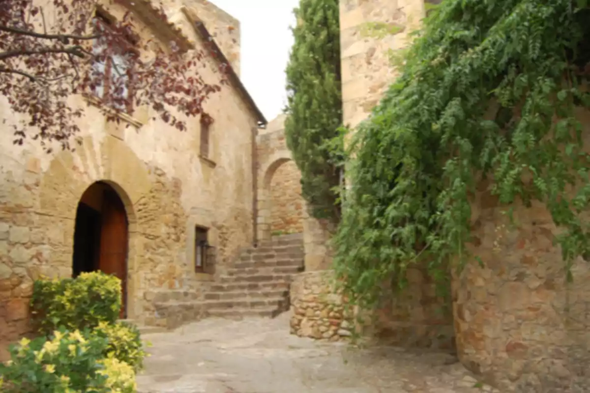 Callejón empedrado con casas de piedra, una puerta de madera, plantas verdes y una escalera al fondo Callejón empedrado con casas de piedra, una puerta de madera, plantas verdes y una escalera al fondo