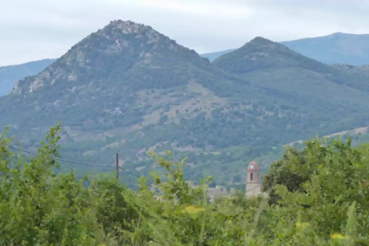 Muntanyes cobertes de vegetació amb un campanar d’església que sobresurt entre els arbres en primer terme Muntanyes cobertes de vegetació amb un campanar d’església que sobresurt entre els arbres en primer terme