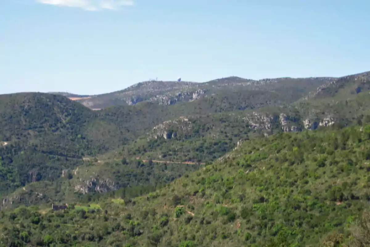 Colinas cubiertas de vegetación con un cielo despejado al fondo Colinas cubiertas de vegetación con un cielo despejado al fondo