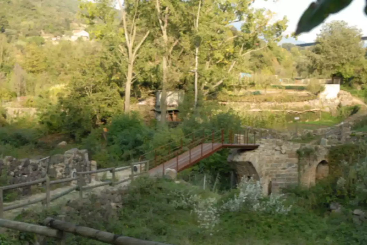 Pont de fusta i pedra envoltat de vegetació i arbres en un entorn rural Pont de fusta i pedra envoltat de vegetació i arbres en un entorn rural