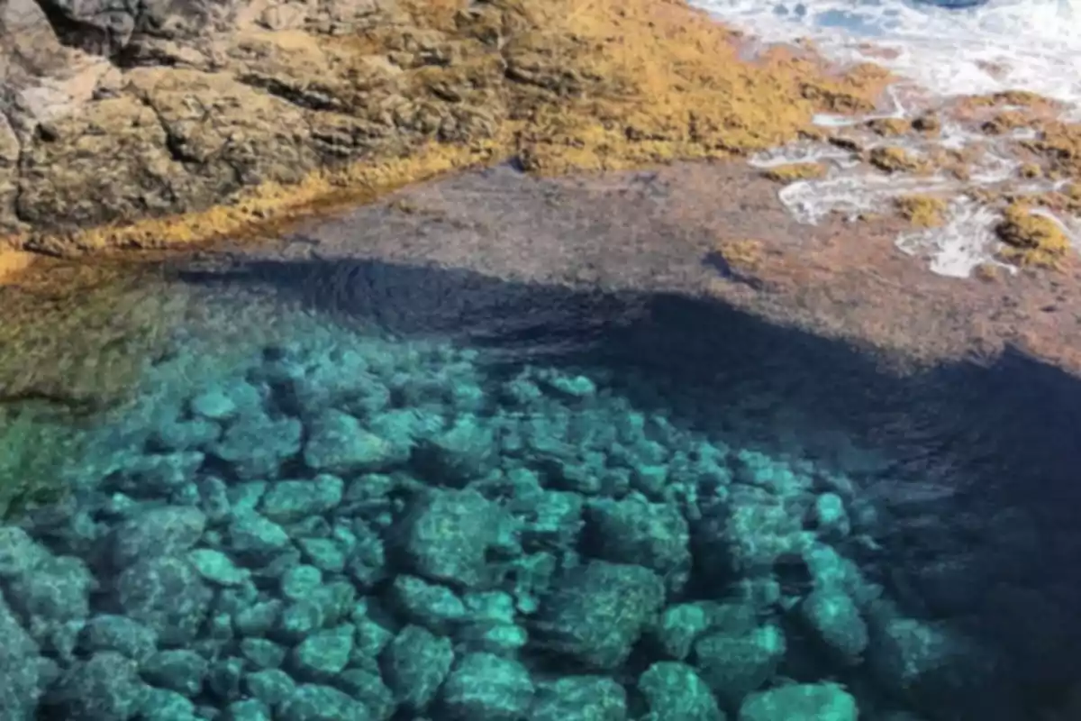 Vista aérea de una piscina natural de agua cristalina rodeada de rocas y algas junto al mar