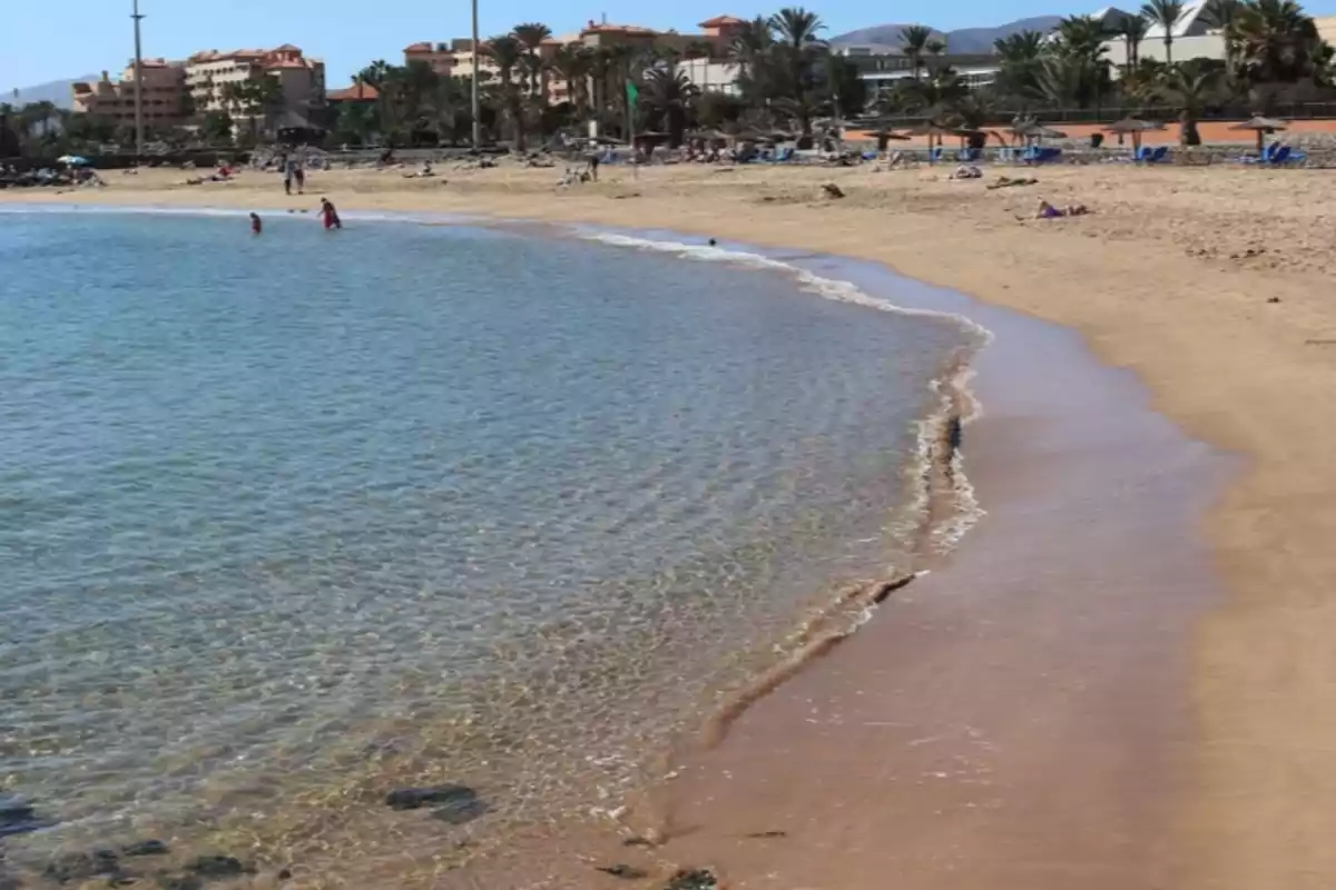 Playa de arena dorada con agua cristalina y algunas personas disfrutando del sol y el mar, edificios y palmeras al fondo Playa de arena dorada con agua cristalina y algunas personas disfrutando del sol y el mar, edificios y palmeras al fondo