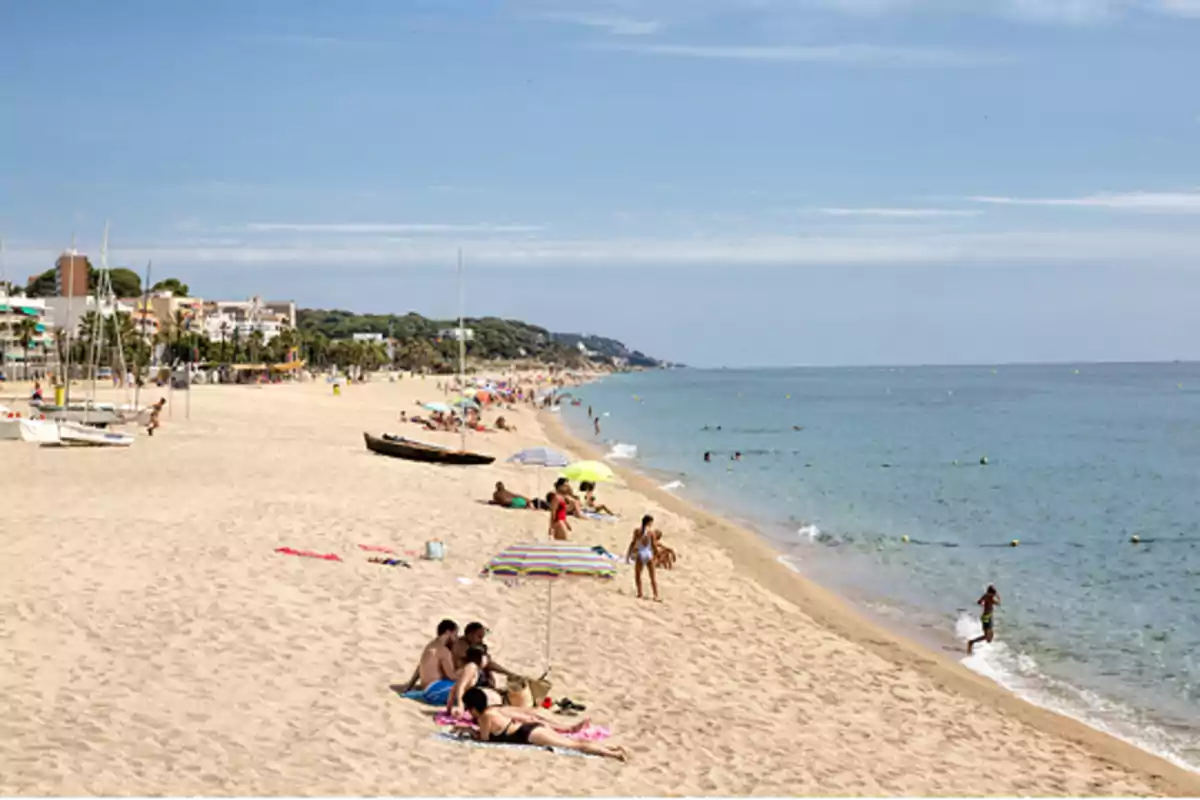 Personas disfrutando de un día soleado en la playa con sombrillas y el mar tranquilo al fondo Personas disfrutando de un día soleado en la playa con sombrillas y el mar tranquilo al fondo