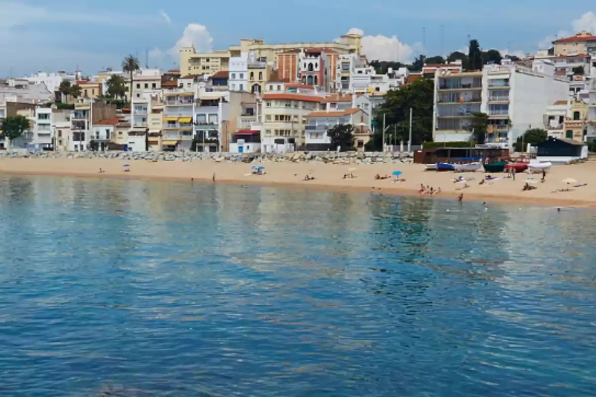 Playa con personas tomando el sol y nadando, edificios y casas al fondo bajo un cielo despejado Playa con personas tomando el sol y nadando, edificios y casas al fondo bajo un cielo despejado