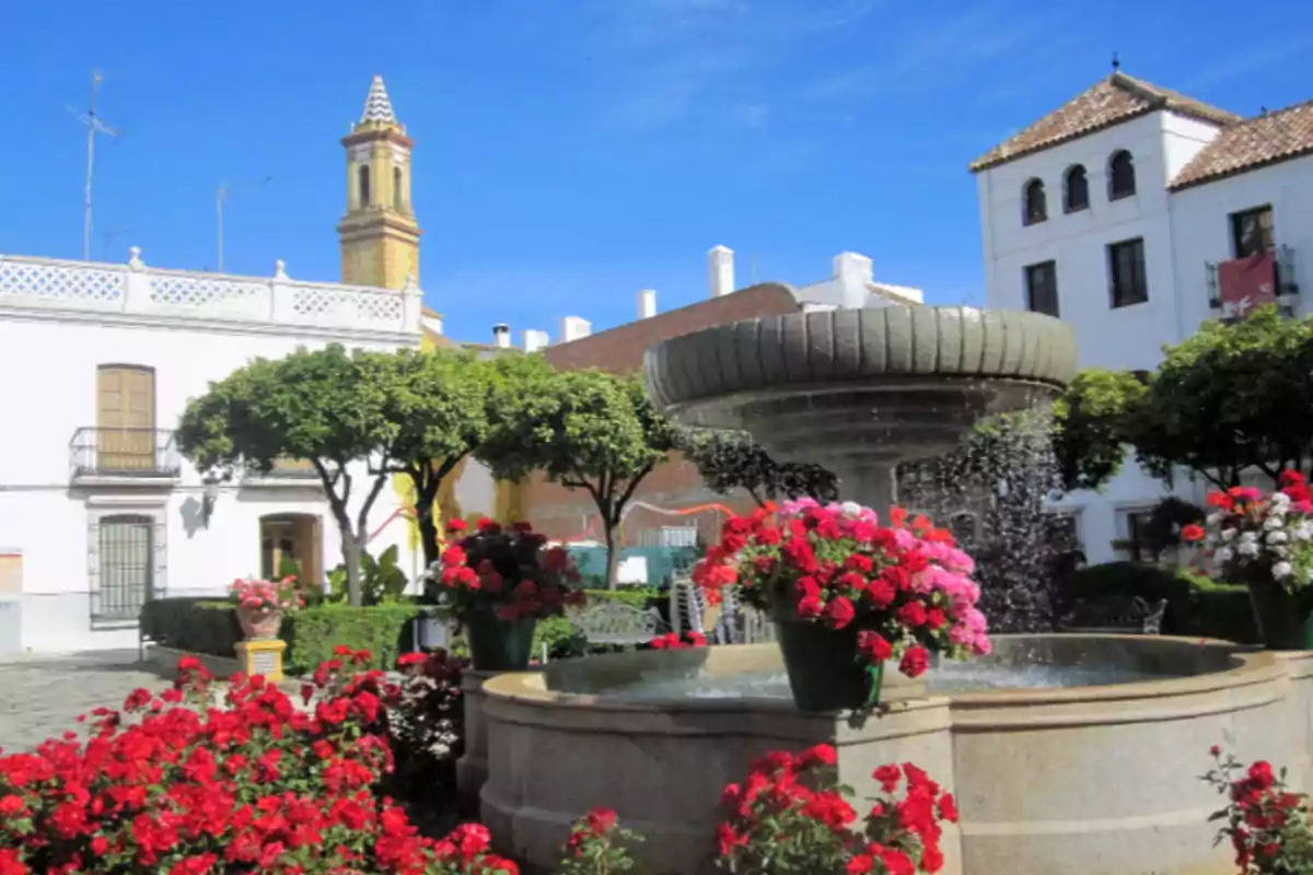 Plaça amb font envoltada de flors vermelles i roses, arbres i edificis blancs sota un cel blau Plaça amb font envoltada de flors vermelles i roses, arbres i edificis blancs sota un cel blau