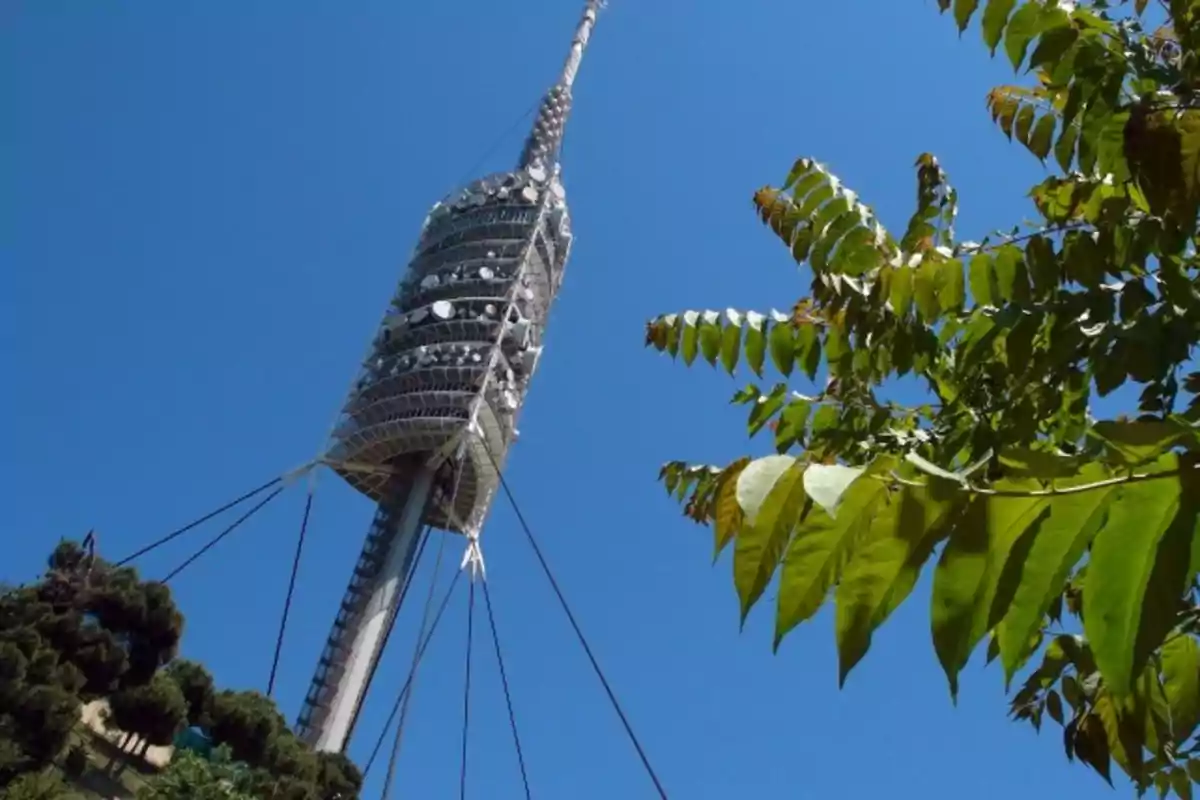 Torre de telecomunicacions moderna vista des de baix amb cel blau i branques d’arbre en primer pla Torre de telecomunicacions moderna vista des de baix amb cel blau i branques d’arbre en primer pla