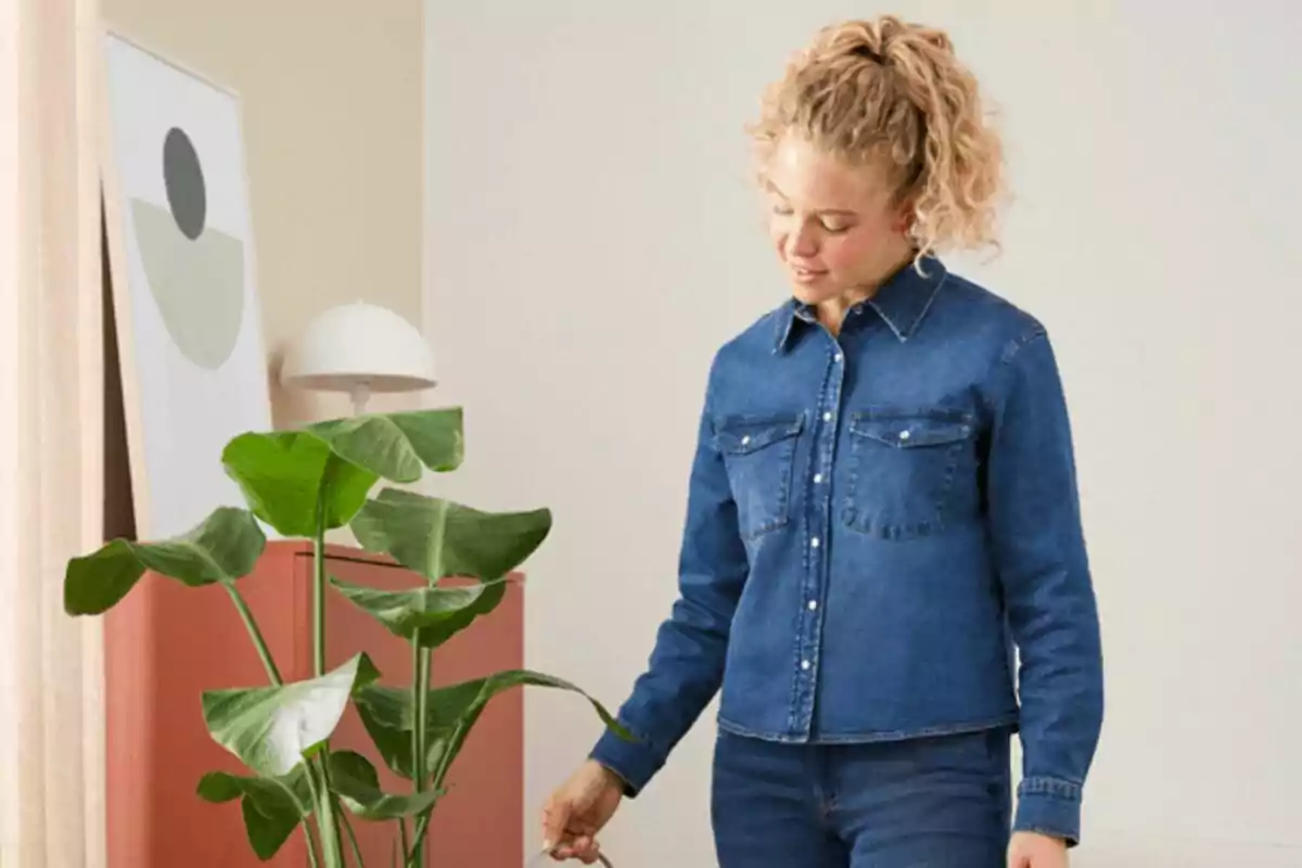 Dona de cabells arrissats i rossos vestida amb una camisa texana blava observant una planta de fulles grans en una habitació moderna Dona de cabells arrissats i rossos vestida amb una camisa texana blava observant una planta de fulles grans en una habitació moderna