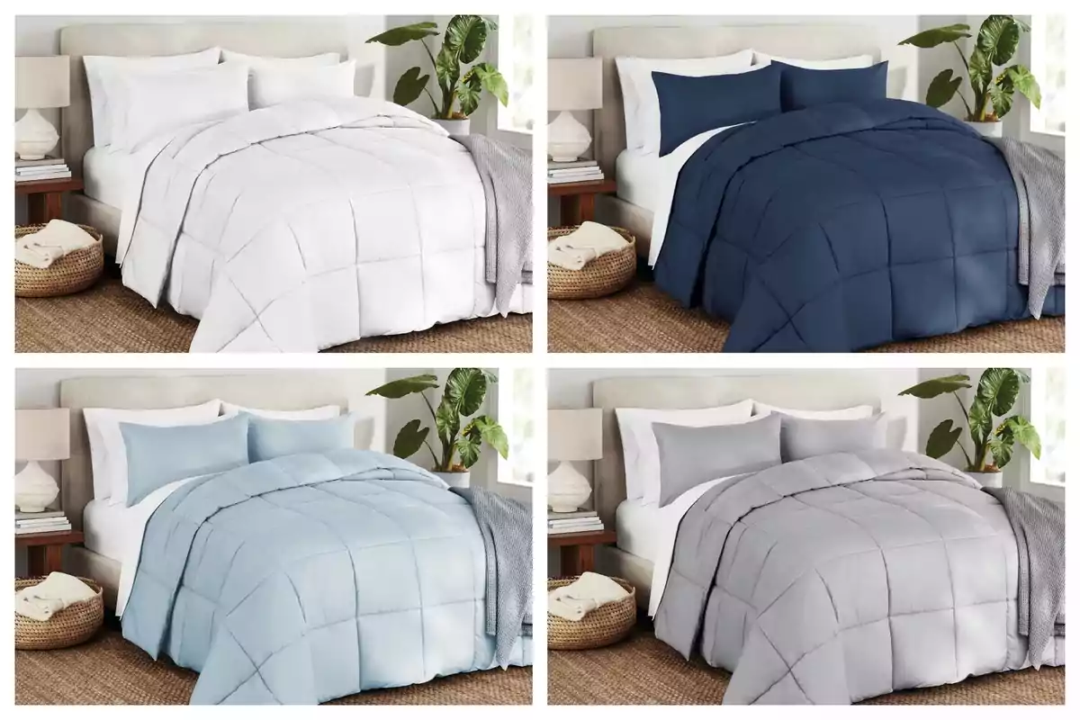 Four beds with comforters in different colors—white, navy blue, light blue, and gray from Sam's Club—in a modern room with plants and wooden furniture.