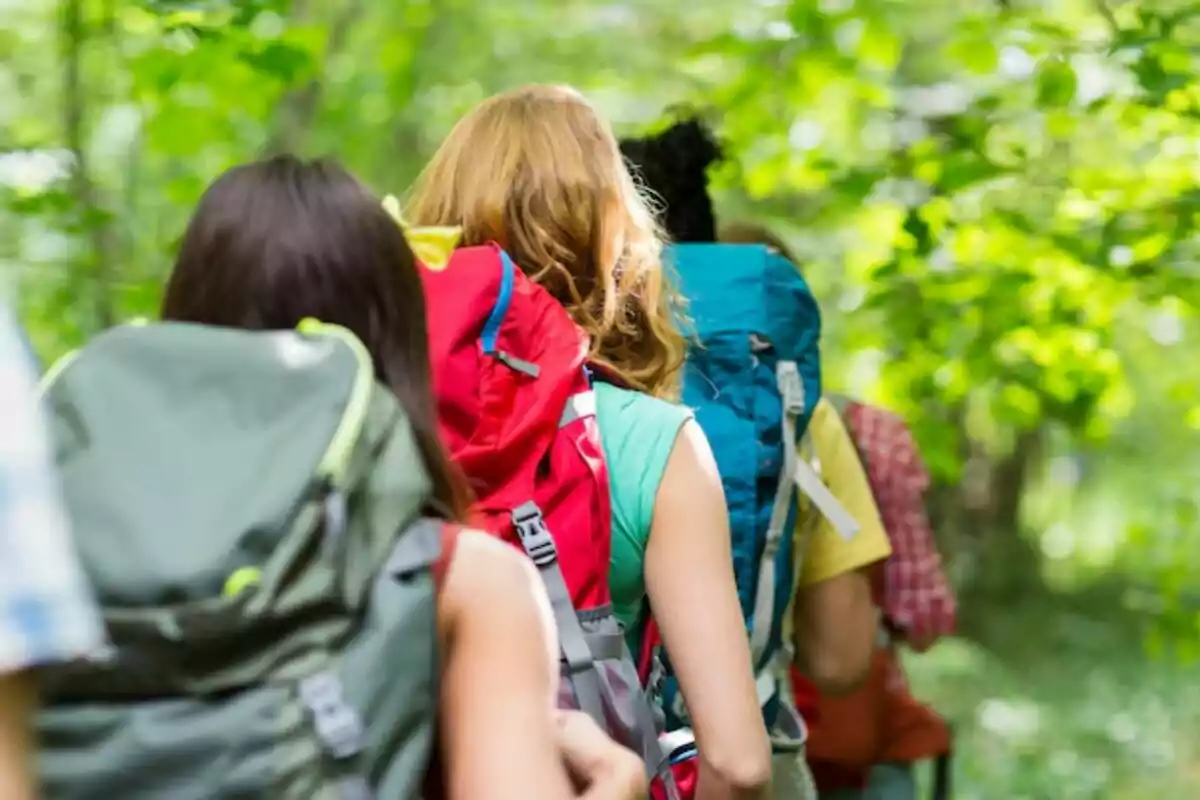 Grup de persones caminant per un camí al bosc amb motxilles grans