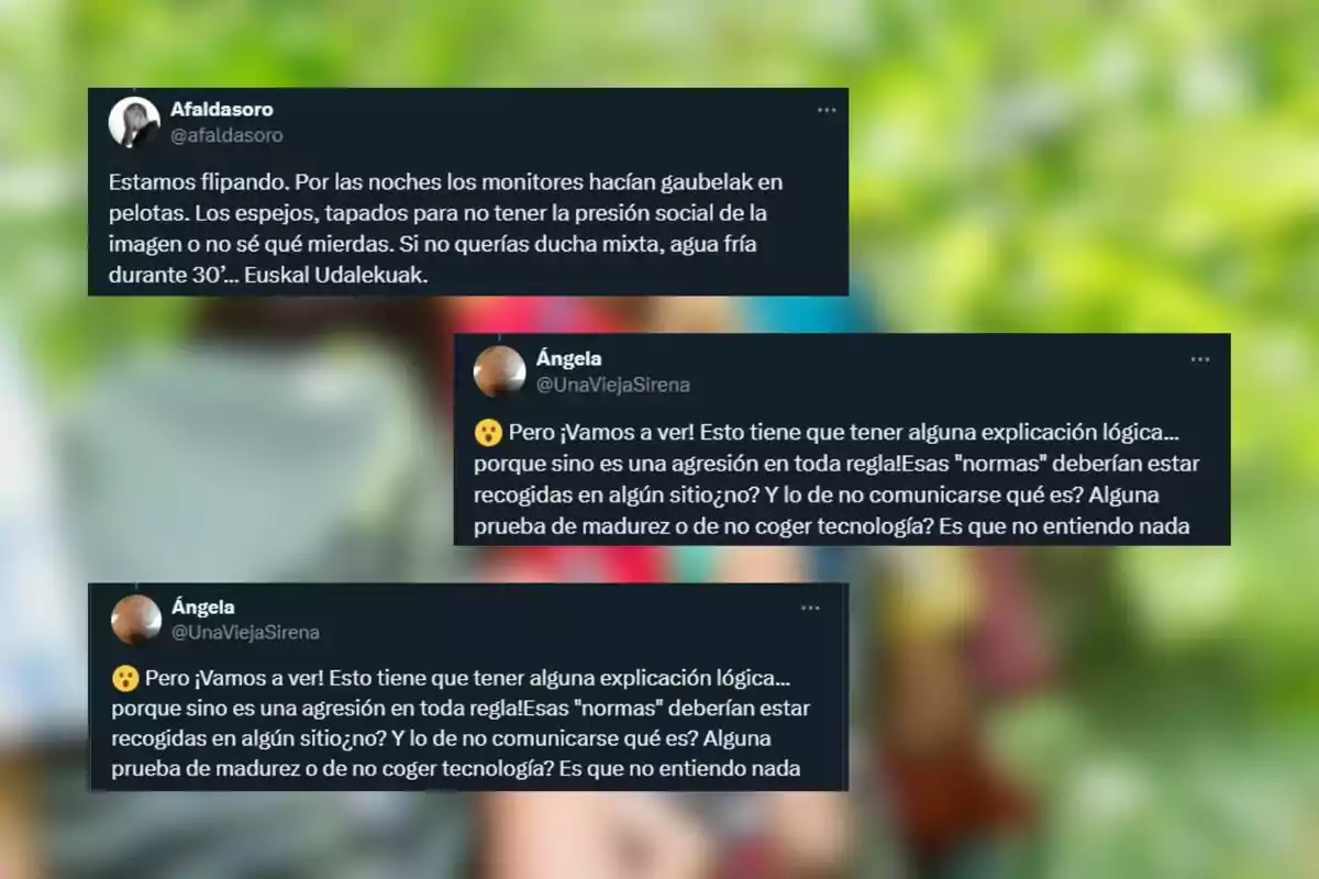 Captura de pantalla que mostra tres tuits en castellà on es critiquen les normes i dinàmiques d’un campament, esmentant dutxes mixtes, miralls tapats i restriccions de comunicació, amb usuaris expressant el seu desconcert i preocupació. Captura de pantalla que mostra tres tuits en castellà on es critiquen les normes i dinàmiques d’un campament, esmentant dutxes mixtes, miralls tapats i restriccions de comunicació, amb usuaris expressant el seu desconcert i preocupació.