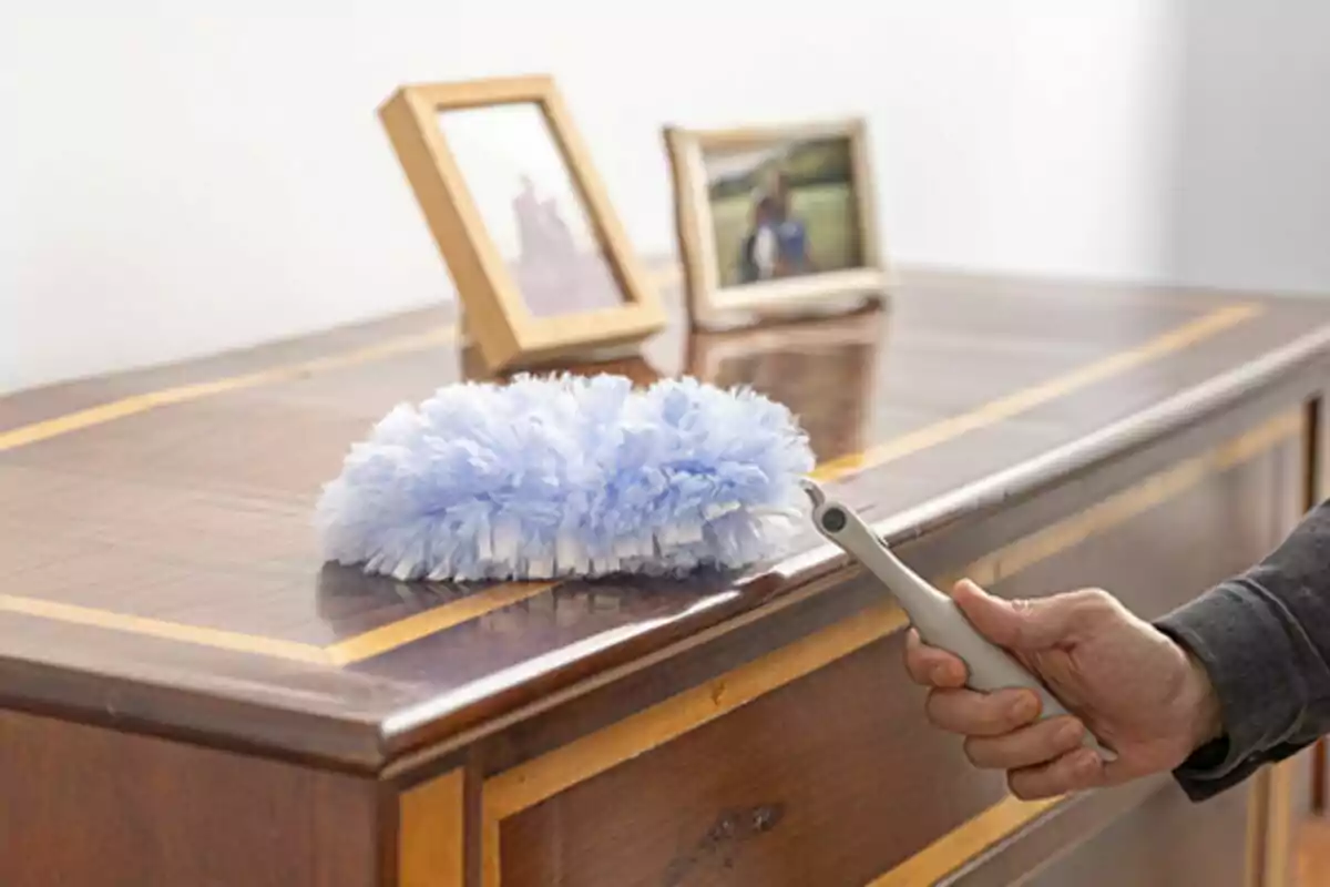 Persona netejant la pols d’un moble de fusta amb un plomall blau i dos marc de fotos al fons