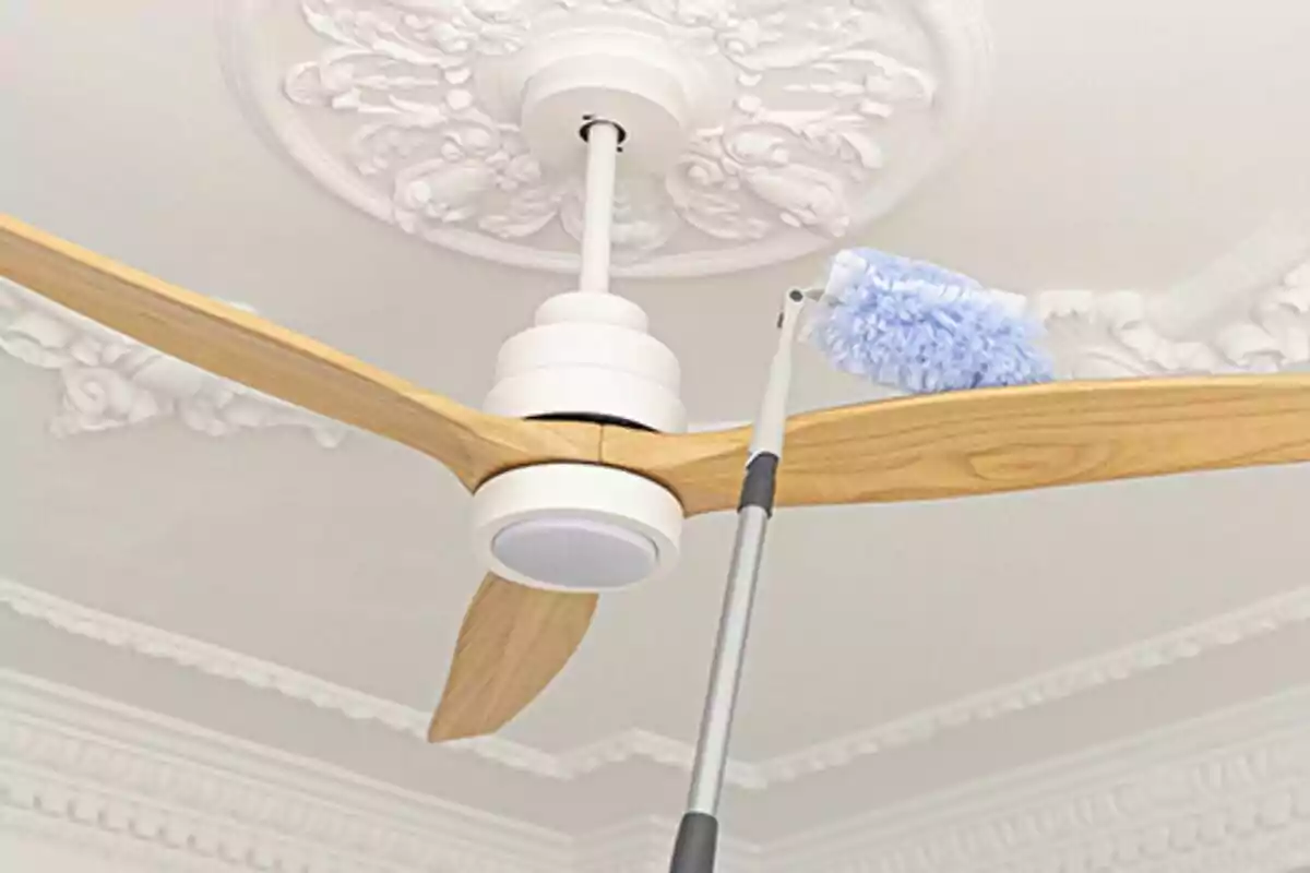 Persona netejant les aspes d’un ventilador de sostre amb un plomall blau en una habitació amb motllures decoratives blanques