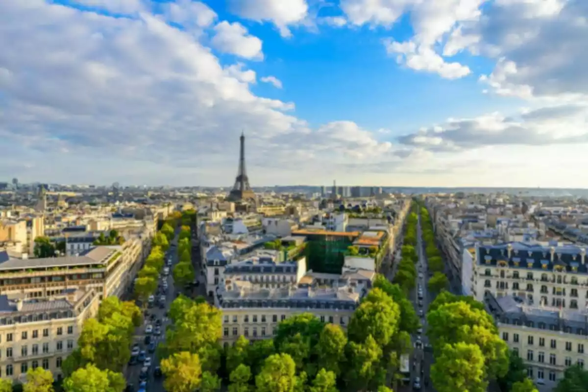 Vista panoràmica de París amb la Torre Eiffel al fons i avingudes envoltades d’arbres sota un cel parcialment ennuvolat