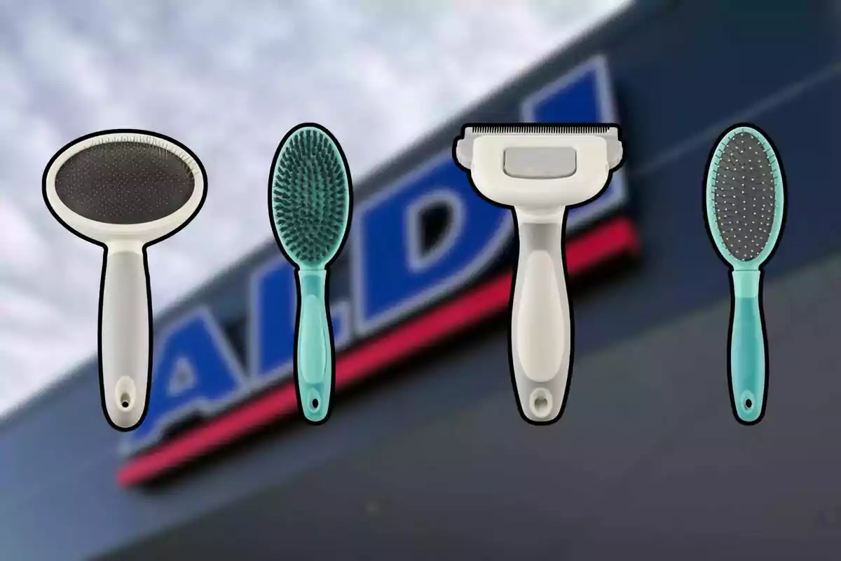 Cuatro cepillos y peines para mascotas con mangos de colores claros sobre un fondo desenfocado de una tienda.