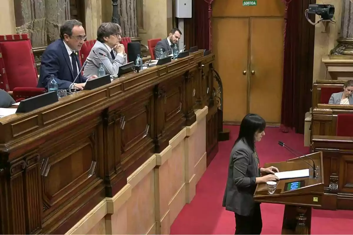 Una mujer de pie habla en un atril en una sala parlamentaria mientras varias personas la observan desde sus asientos